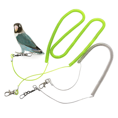 شفافة الطيور الخضراء الطائر حبل البلاستيك المغطاة أسلاك الفولاذ الطيور توسيع حبل الأمان